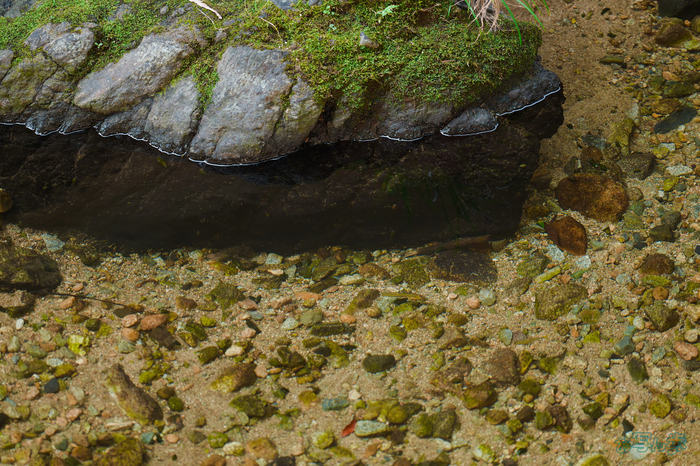 BF_05488,200 mm,F2,1-500 秒,iso400(JPEG).jpg