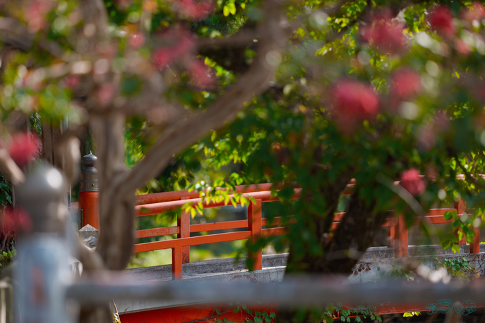 BF_05534,200 mm,F2,1-3200 秒,iso400(JPEG).jpg
