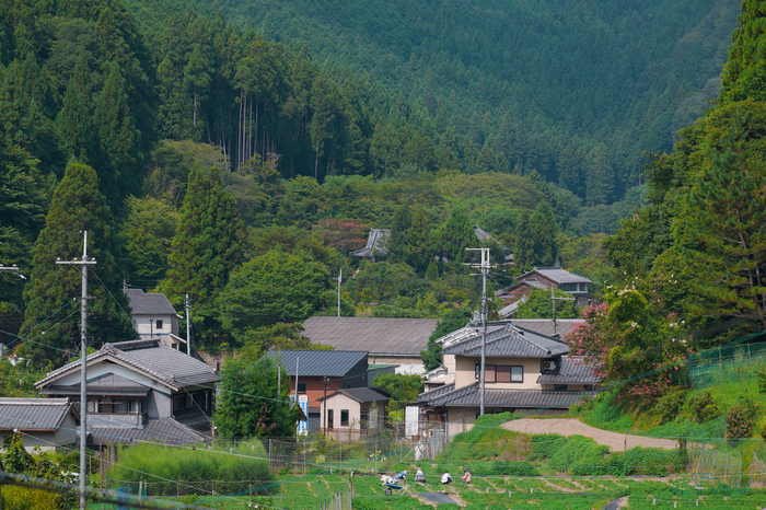 BF_05542,200 mm,F5.6,1-2000 秒,iso400(JPEG).jpg