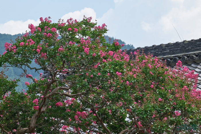 BF_05572,200 mm,F16,1-200 秒,iso400(DNG).jpg