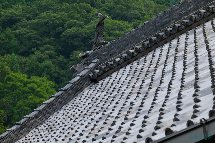 BF_05618,200 mm,F22,1-200 秒,iso1250(JPEG).jpg
