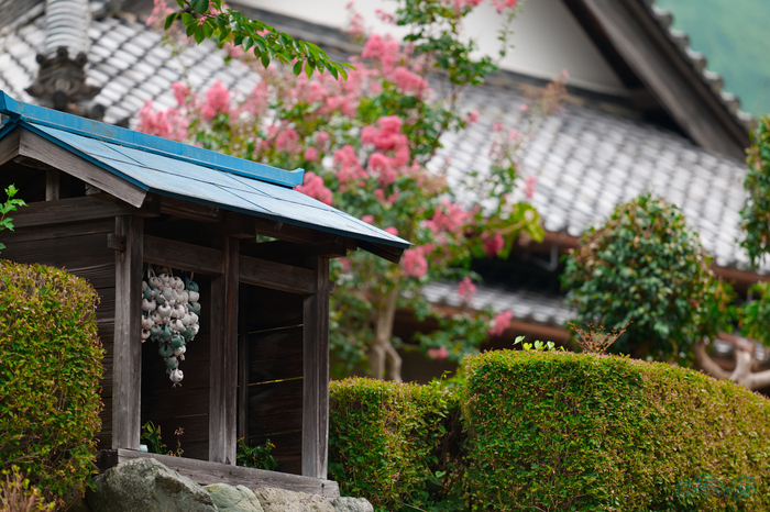 BF_05626,200 mm,F2,1-2000 秒,iso400(JPEG).jpg