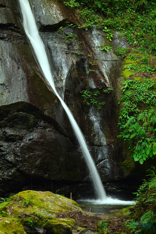 BF_05662,200 mm,F8,1-8 秒,iso100(JPEG).jpg