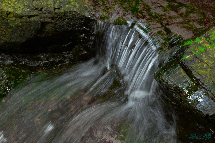 BF_05702,200 mm,F5,0.1 秒,iso100(JPEG).jpg