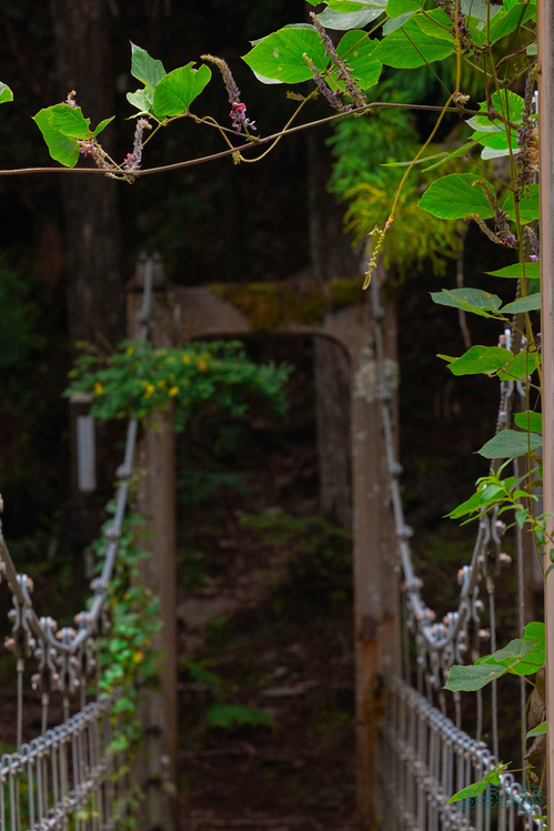BF_05755,200 mm,F11,1-20 秒,iso100(JPEG).jpg
