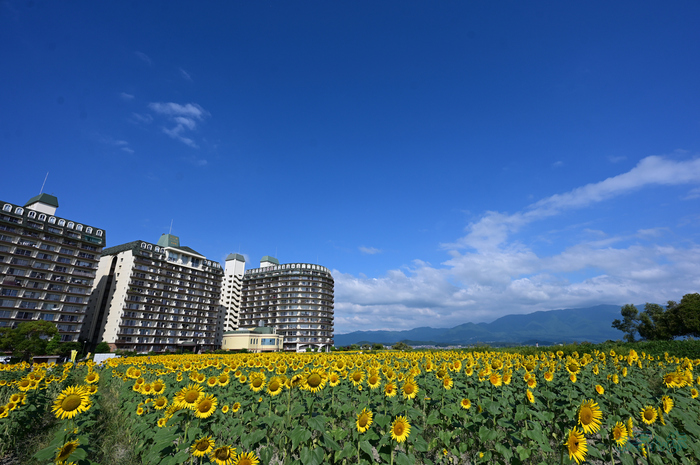DSC_0057,16 mm,F6.3,1-640 秒,iso100(JPEG).jpg