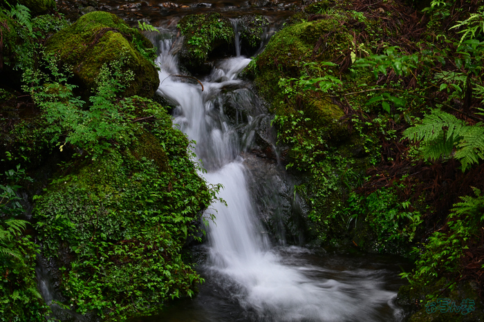 DSC_0199,60 mm,F14,0.2 秒,iso100(JPEG).jpg