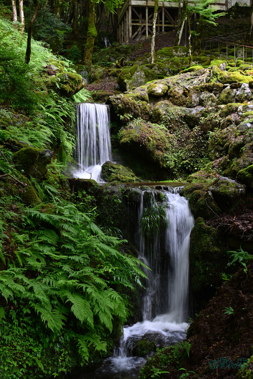 DSC_0225,32 mm,F8,1-8 秒,iso100(JPEG).jpg