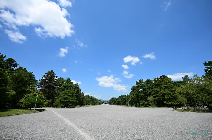 DSC_0439,16 mm,F3.5,1-1250 秒,iso100(JPEG).jpg