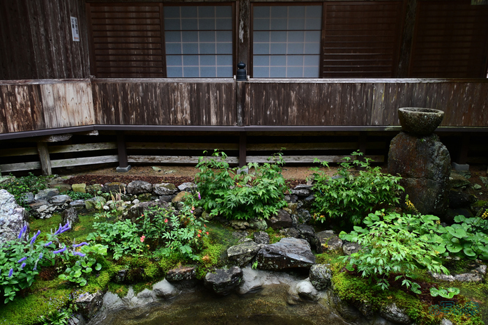 DSC_0454,18 mm,F9,1-40 秒,iso400(JPEG).jpg