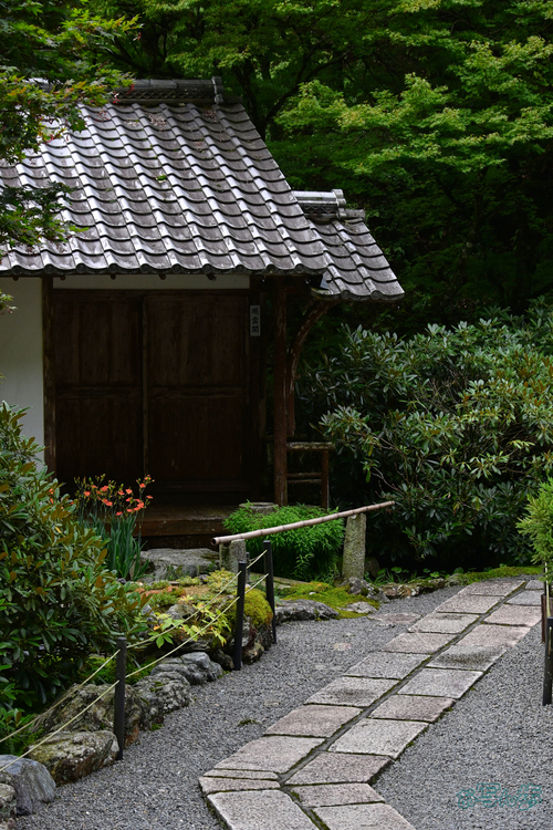 DSC_0486,59 mm,F7.1,1-250 秒,iso400(JPEG).jpg
