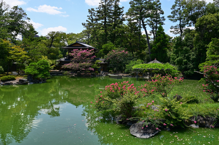 DSC_0487,30 mm,F10,1-125 秒,iso100(JPEG).jpg