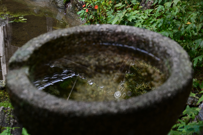 DSC_0495,56 mm,F5.6,1-200 秒,iso400(JPEG).jpg