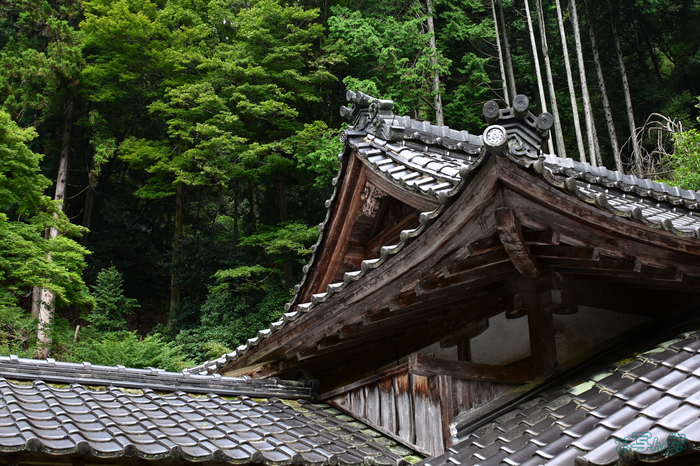 DSC_0504,30 mm,F10,1-100 秒,iso400(JPEG).jpg