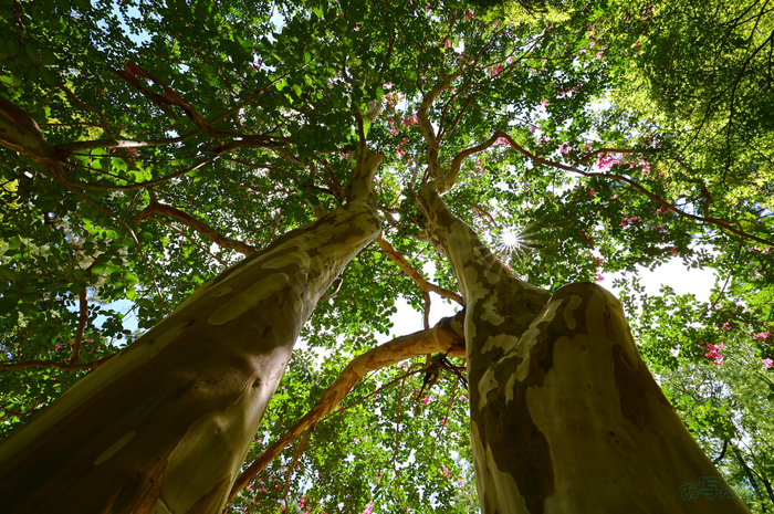 DSC_0556,16 mm,F16,1-20 秒,iso100(JPEG).jpg