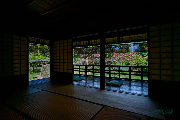 DSC_0622co,19 mm,F7.1,iso100(RAW S).jpg