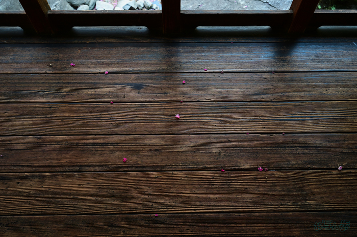 DSC_0662,30 mm,F7.1,1-30 秒,iso450(JPEG).jpg