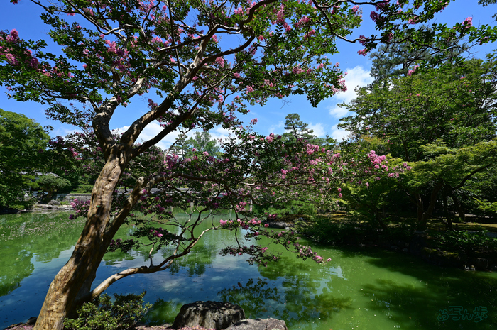 DSC_0692,16 mm,F7.1,1-250 秒,iso100(JPEG).jpg