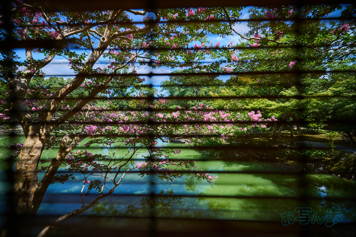 DSC_0702co,16 mm,F2.8,iso100(RAW S).jpg