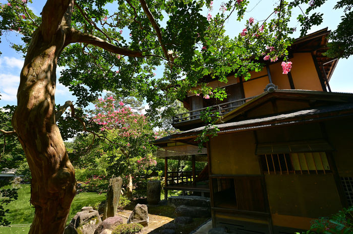 DSC_0819,16 mm,F9,1-100 秒,iso100(JPEG).jpg