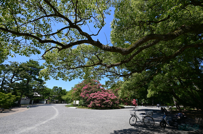 DSC_0900,16 mm,F10,1-125 秒,iso100(JPEG).jpg