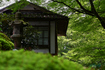 DSC_1058co,44 mm,F6.3,iso140(JPEG).jpg