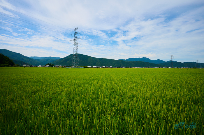 DSC_1189co,16 mm,F10,iso100(RAW S).jpg