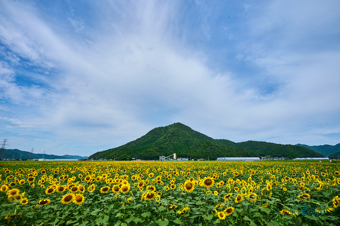 DSC_1389co,16 mm,F10,iso100(RAW S).jpg