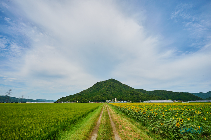 DSC_1413co,16 mm,F10,iso100(RAW S).jpg