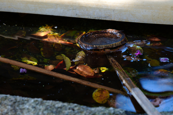 SDIM0882,200 mm,F8,1-200 秒,iso1250(JPEG).jpg
