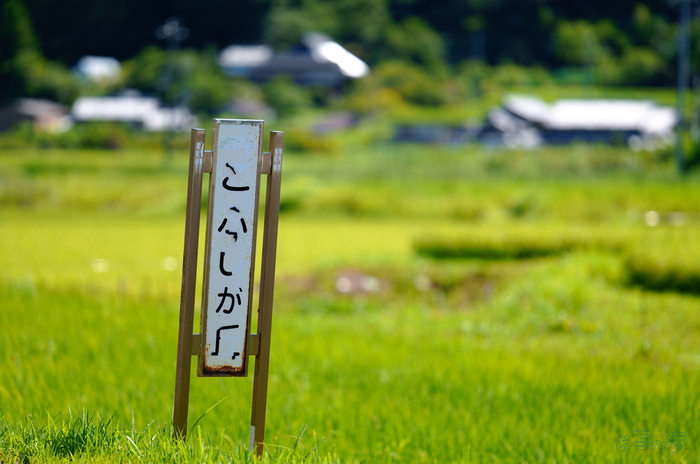 SDIM0957,200 mm,F2,1-1600 秒,iso100(JPEG).jpg