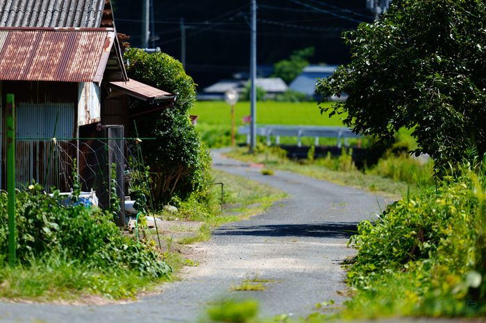 SDIM0964,200 mm,F2,1-2500 秒,iso100(JPEG) 1.jpg