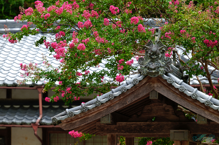 SDIM1012,200 mm,F4.5,1-200 秒,iso125(JPEG).jpg