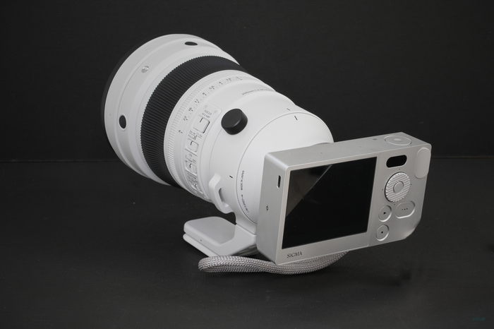Sigma200mmF2DGOSSports_004.jpg