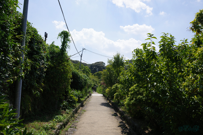 GR000167,18 mm,F9,1-400 秒,iso200(JPEG).jpg