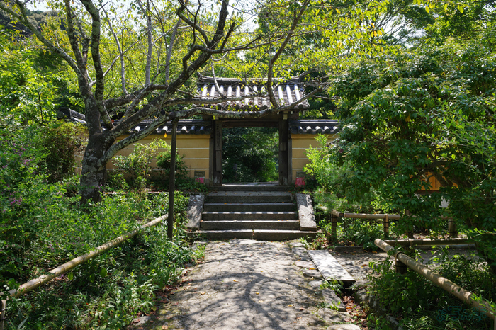 GR000173,18 mm,F9,1-125 秒,iso200(JPEG).jpg