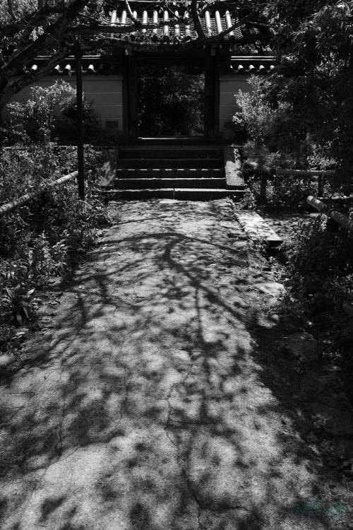 GR000176,18 mm,F9,1-200 秒,iso200(JPEG).jpg