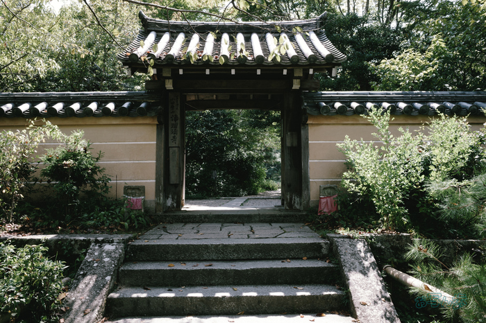 GR000182co,18 mm,F9,iso200(JPEG).jpg