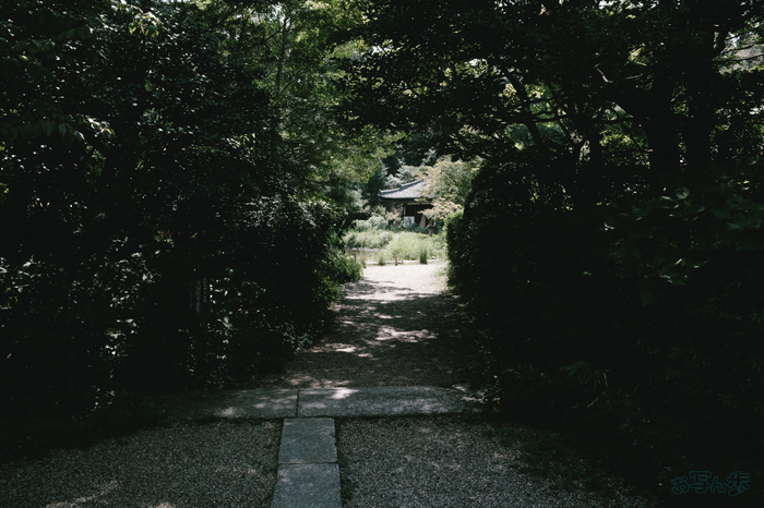 GR000184,18 mm,F9,1-125 秒,iso200(JPEG).jpg