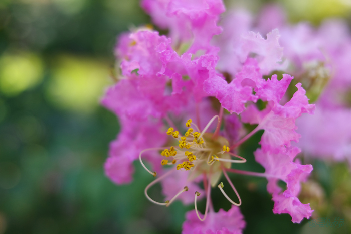 GR000202,18 mm,F2.8,1-160 秒,iso100(JPEG).jpg