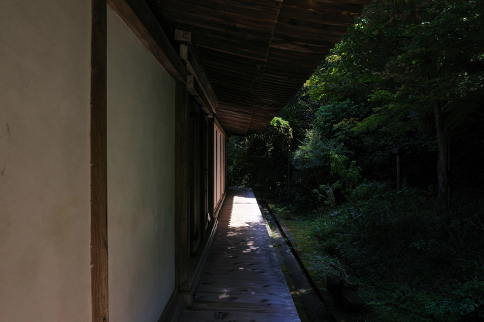 GR000217,18 mm,F9,1-125 秒,iso200(JPEG).jpg
