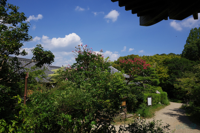GR000223,18 mm,F8,1-400 秒,iso100(JPEG).jpg