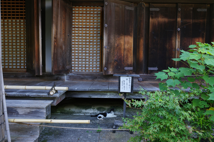 GR000234,18 mm,F8,1-30 秒,iso320(JPEG).jpg