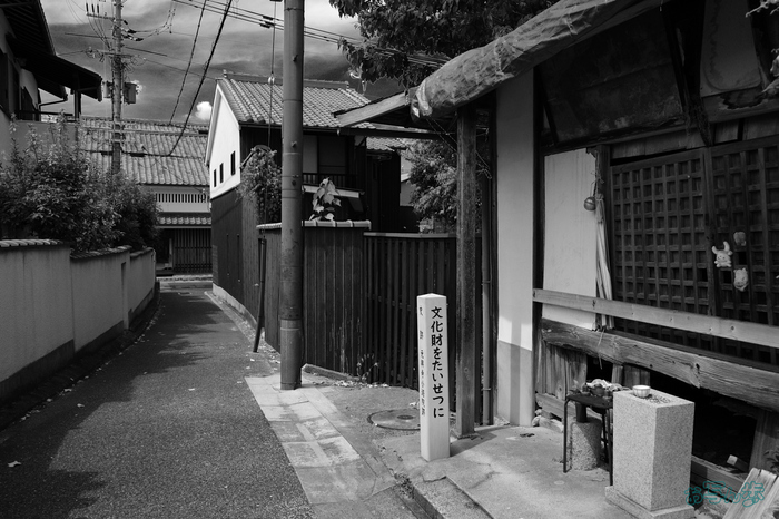 GR000387,18 mm,F2.8,1-1250 秒,iso100(JPEG).jpg