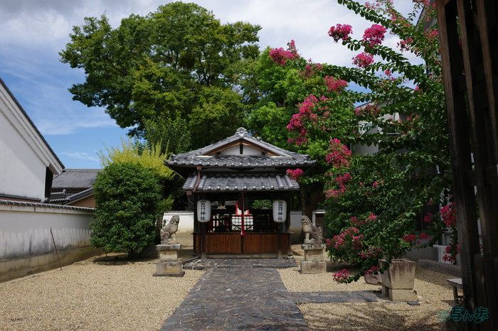 GR000410,18 mm,F2.8,1-2000 秒,iso100(JPEG).jpg