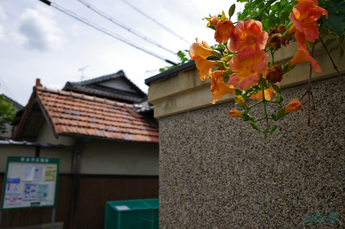 GR000412,18 mm,F2.8,1-2000 秒,iso100(JPEG).jpg