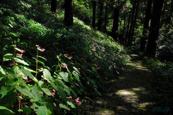 GR000436,18 mm,F8,1-50 秒,iso200(JPEG).jpg