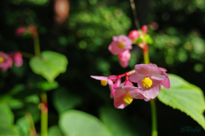 GR000441,18 mm,F2.8,1-320 秒,iso100(JPEG).jpg