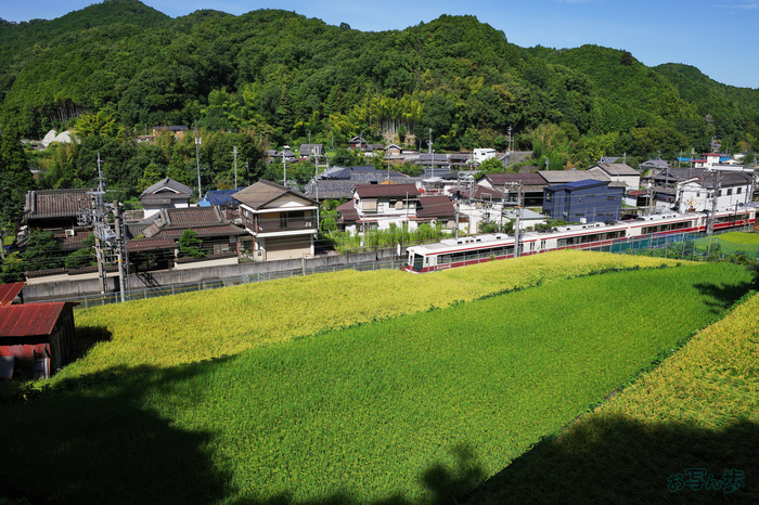 GR000480,18 mm,F4,1-1600 秒,iso100(JPEG) 1.jpg