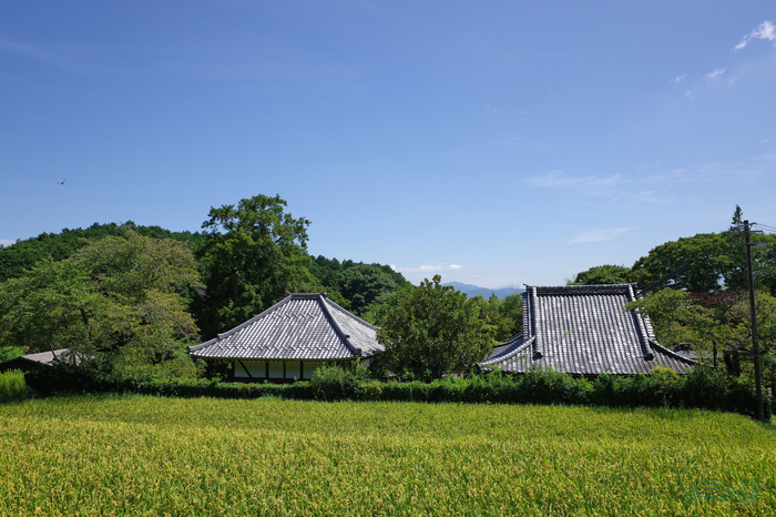 GR000516,18 mm,F3.2,1-1600 秒,iso100(JPEG).jpg